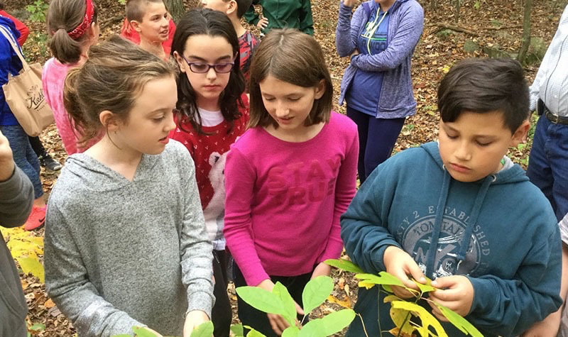 Creating a Legacy of Sustainability for Putnam Valley Schools 
