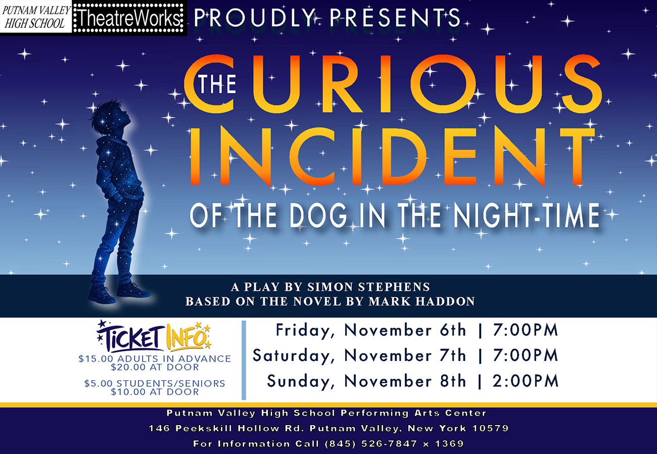 The Curious Incident of the Dog in the Night-Time